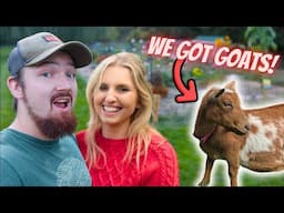 One CRAZY Month On Our Small Farm.. (we are back!)