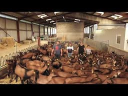 Maman agricultrice : Le bonheur est dans le pré ?