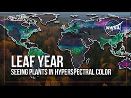 Leaf Year: Seeing Plants in Hyperspectral Color