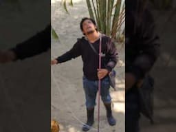 Baby Monkey VS Coconuts
