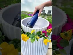 How to Make a DIY Water Fountain