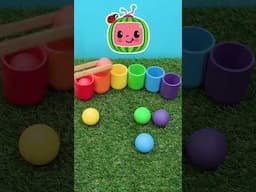 Rolling Balls of Color Everywhere ⚽🌈 #color #balls #fun