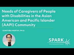 Needs of Caregivers of People with Disabilities in the Asian American and Pacific Islander Community