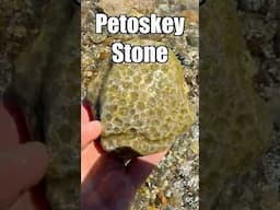 A Beautiful Transformation—Petoskey Stone Polishing
