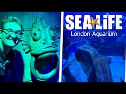 SEA LIFE London Aquarium 2025 FULL Tour & Review