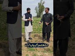 Real Business Exposed in Pakistan 2025 | Ajmal Hameed TV #business #businessideas #shorts #farming