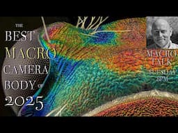 The Best Camera Body for Macro - 2025  - Macro Talk #146 -  AWPhotography 6/10/25
