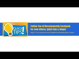Everything Horses & More! Podcast:  The Divine Secret to Attract Miracles