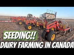 Seeds Are In The Ground!