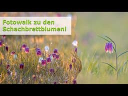 Werde ich zum Rentnerfotograf? Blümchen statt Abenteuer! 😬