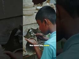 Before It Vanishes: The Soul of Majuli Island #shorts