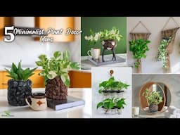 5 House Plants Ideas are a great addition to your home decor | Gardening Ideas//GREEN PLANTS