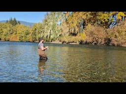EP13 Fishing, BEARS and Salmon.... OHH MY!
