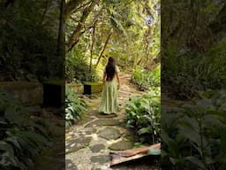 Natureza 🍃