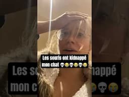 Rendez moi mon chat 😭😭😭😭😭