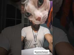This is going to change my life, but can my cat be a witness?