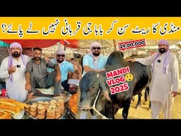Bakra Mandi Tour 2025! | BaBa High Rates Ka Sun Kar Qurbani Nhi Lay Paye! 😢 | BaBa Food RRC Vlogs