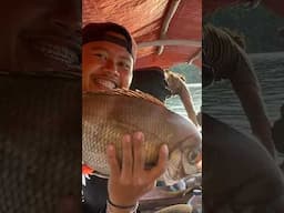 Dapat banyak ikan besar dan enak dibakar🤤 #1216 #KOOKIKO