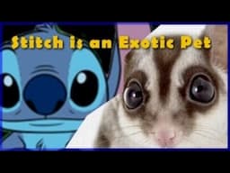 Lilo and Stitch is About Exotic Pet Ownership