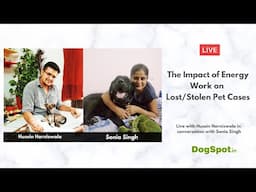 The Impact of Energy Work on Lost/Stolen Pet Cases