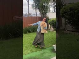 Won't believe these animal fails 🐿🐶🤣
