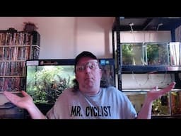 Sunday Sharpe: Tarrific