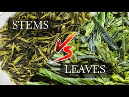 Japanese Stem Tea vs Sencha   Two Kukicha Green Tea Types Compared
