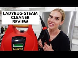Ladybug Steam Cleaner Review