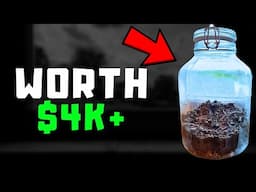 I Made Money With Dirt (Literally)...