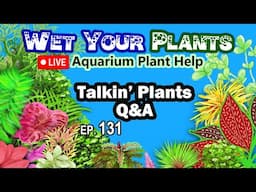 Planted Tank Problems and Solutions - Live Q&A (WYP 131)
