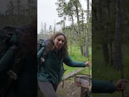 Alaska Shelter camping alone in bear, wolf, and moose country