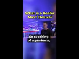 Red Sea Reefer G2 Max, Deluxe, Nano, Bundle - How Can you Tell the Difference?