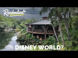 Animal Kingdom Hits Different When You Slow Down