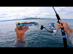 Lake Pacific Popping, Jigging, and Live Baiting Multi-Species Offshore Fishing!!