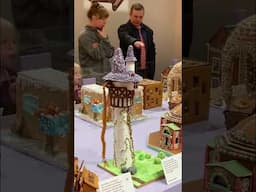 The Ginger House exhibition at the Arkdes. Sunday the 8th of January is the last day!