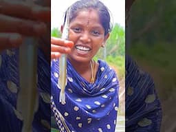 FISH CATCHING | Traditional Fish Curry | Catching Fish And Cooking In Village