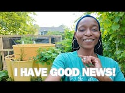 Vertical Gardening | What's Growing in My Greenstalks? | Greenstalk Garden Tour | (Thank you!)