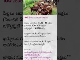 Goat Farming Business: 100 Goats Profit Calculation! | మేకల వ్యాపారం లాభాలు #shorts#goatfarming