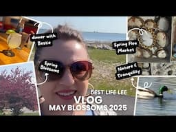 VLOG May Blossoms 2025 - Best Life Lee