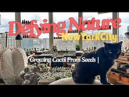 Unbelievable Desert Haven In New York City Apartment Grown From Seeds! Find Out How!