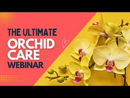 THE EXCLUSIVE ORCHID CARE 101 WEBINAR