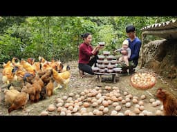 The hens lay lots of eggs, Harvest and process eggs soaked in soy sauce.It's unbelievably delicious!