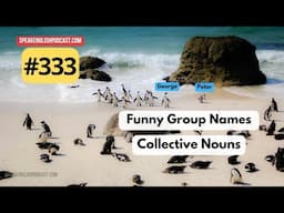 333 Collective Nouns – Learn English with Funny Group Names