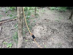 Boar at Ten Yards...Thick!!