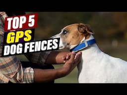 Top 5 GPS Dog Fences: Reviews & Comparisons