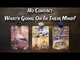 No Contact | What's Going Through Their Mind? How Are They Feeling About You? Pick A Card Reading