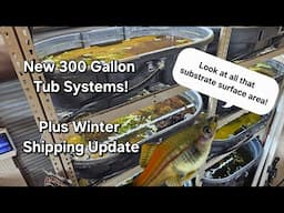 New Scud Snail and Daphnia Tub Systems Plus Winter Shipping Update