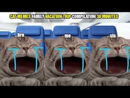 CAT MEMES FAMILY VACATION TRIP COMPILATION 30 MINUTES
