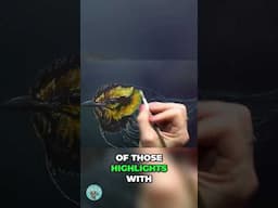 Feather Painting Techniques: Highlights and Separation Tutorial