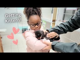 Getting Kittens From the Shelter!
